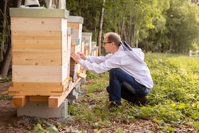 Bienengespräche am Oswaldhof